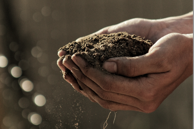 hands holding soil